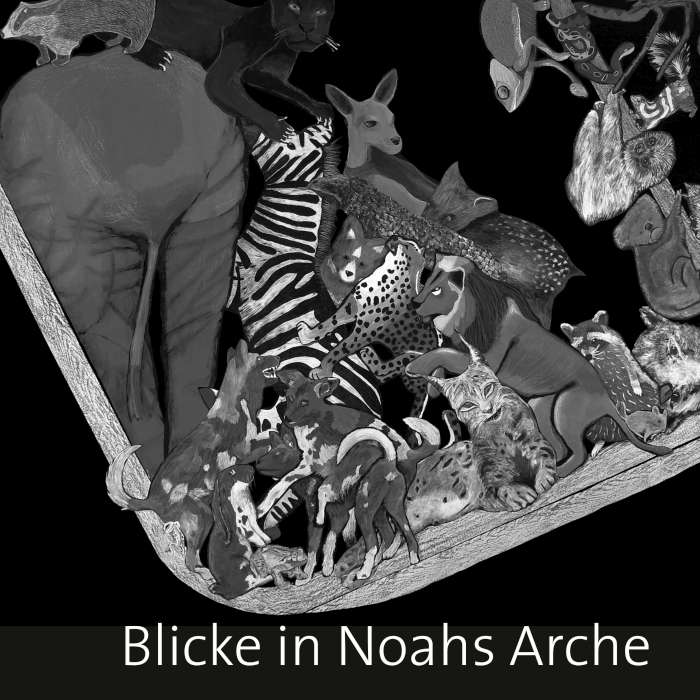 Präsentation des Projekts: Blicke in Noahs Arche
